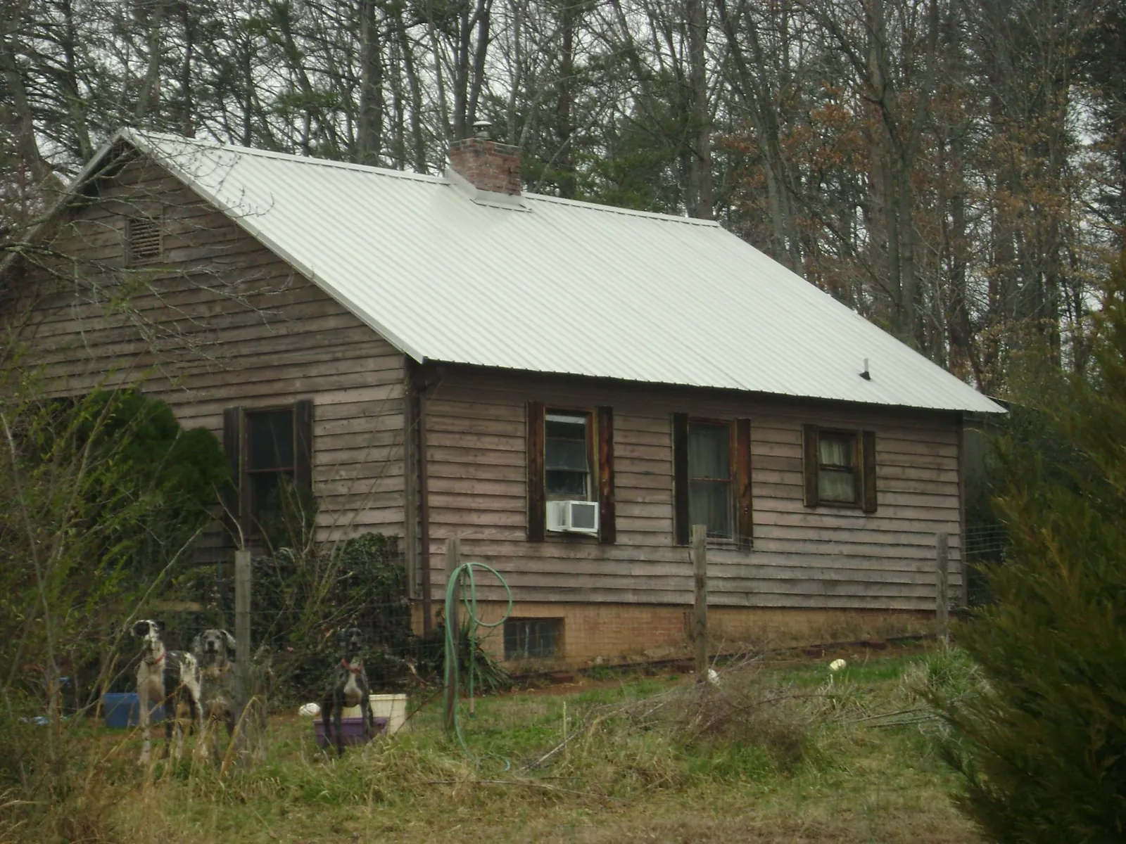 White metal roof on an old wood sided farmhouse, from a Asphalt Shingle Roof Repair job in East Brady